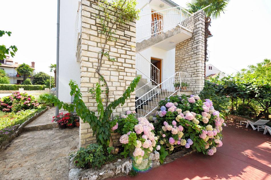 Guest House Ab Adria Home Ρόβινι Εξωτερικό φωτογραφία