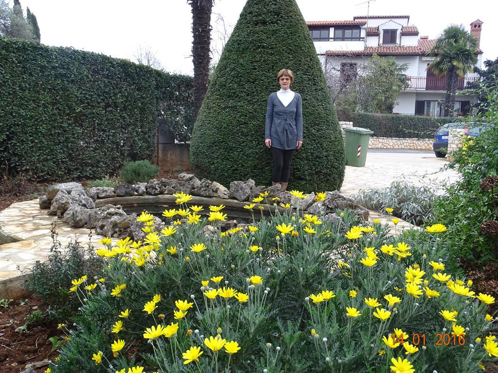 Guest House Ab Adria Home Ρόβινι Εξωτερικό φωτογραφία